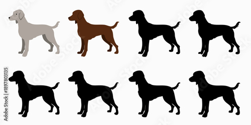 Collection of dog silhouettes and variations in coat color