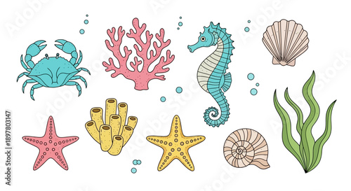 A collection of colorful cartoon marine animals and plants, including a crab, seahorse, coral, starfish, shells, sponge, and seaweed, on a white background.