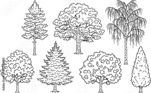 Collection of various tree types in detailed black and white line art illustrations, suitable for architectural plans or landscape designs.