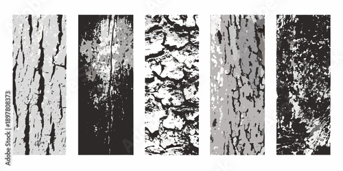 Vertical stripes showcasing diverse textured bark patterns in grayscale