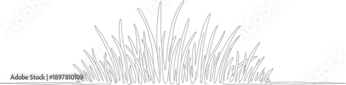 Artistic line drawing depicting a natural grass cluster, perfect as a versatile botanical element for organic design projects