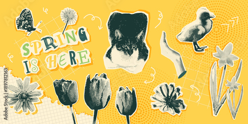 Spring element set with plants, flowers, cat and more. Seasonal botanical collection in vintage collage halftone style. Vector illustration elements for posters, backgrounds, web and digital projects