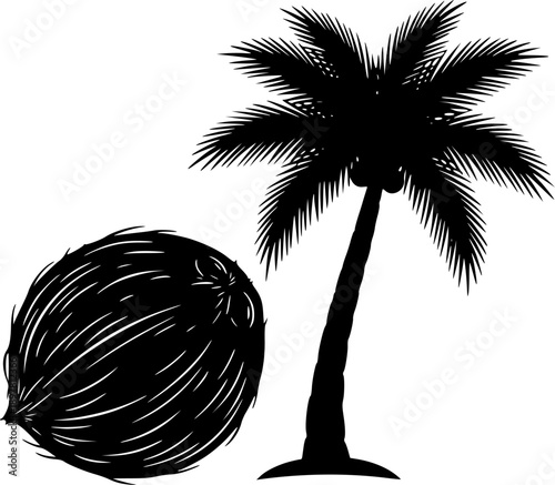 tropical coconut, palm tree silhouette