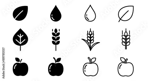 Set of nature icons: leaf, water drop, wheat, apple in black and white