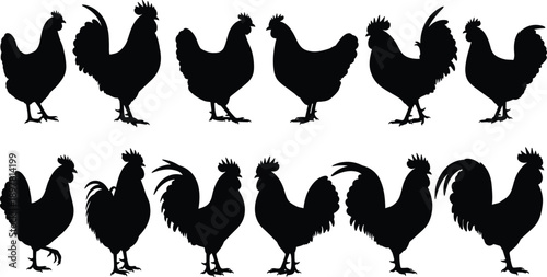 Rooster and chicken silhouette collection showing farm poultry poses, rural agriculture animal icons isolated on white background