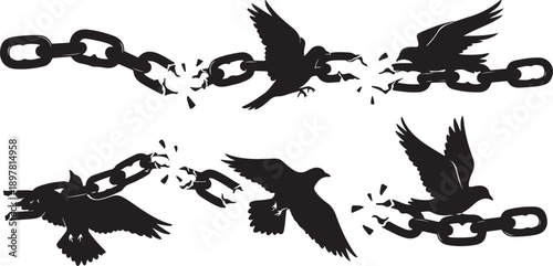 Birds Breaking Free from Chains Silhouette Illustration Graphic Design