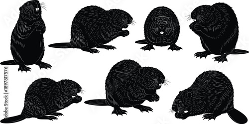 Black beaver silhouette illustration set, wildlife rodent animal poses, isolated mammal vector design collection