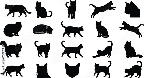 Cat silhouette set showing walking sitting jumping sleeping poses isolated on white background playful domestic feline collection