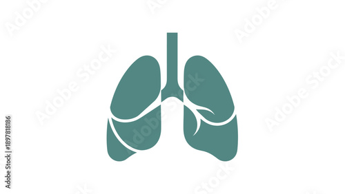 Human Lungs Vector Icon Representing Respiratory System and Health