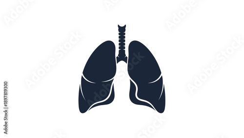 Human Lungs Anatomy Icon - Respiratory System Silhouette