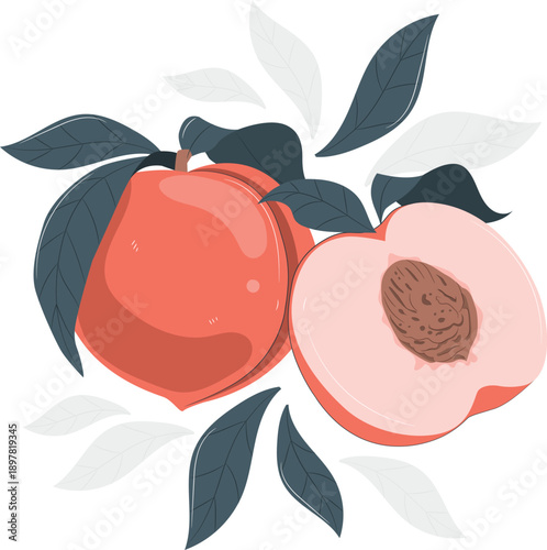 A vibrant illustration of ripe peaches and leaves showcasing a halved fruit with a visible pit from a top-down perspective