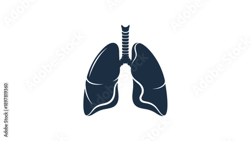 Human Lungs Respiratory System Icon
