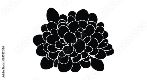 A striking black and white silhouette depicts a dense cluster of rounded overlapping forms resembling a succulent plant high quality