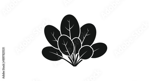 A simple black and white illustration depicts a cluster of stylized leaves showcasing a natural botanical form