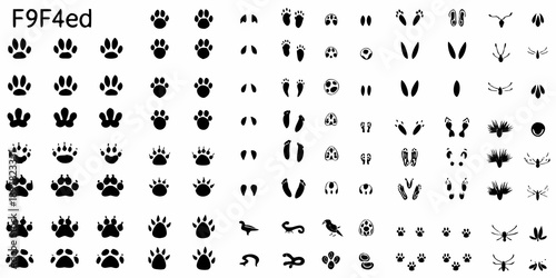 Collection of animal footprints and silhouettes in black and white