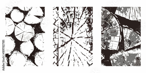 Abstract triptych depicting wood grain and cross sections in monochrome