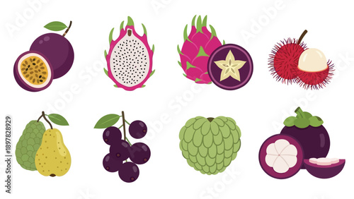 Vibrant collection of delicious tropical fruits including passion fruit, dragon fruit, rambutan, soursop, guava, jabuticaba, and mangosteen, ideal for food packaging, healthy eating