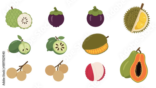 A vibrant collection of exotic tropical fruits featuring custard apple, mangosteen, durian, feijoa, longan, lychee, and papaya, ideal for healthy food promotions, market visuals, and