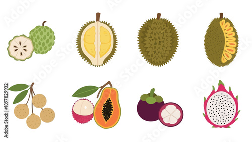 A vibrant collection of fresh exotic tropical fruits including custard apple, durian, longan, lychee, papaya, mangosteen, jackfruit, and dragon fruit, perfect for healthy food concepts and