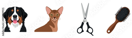 Essential pet grooming supplies featuring a friendly Bernese Mountain Dog and an elegant Abyssinian cat along with professional pet scissors and a hairbrush perfect for veterinary clinic