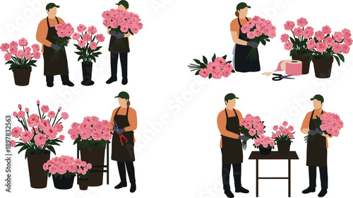 Professional florist, arranging, pink, roses, in, flower, shop, bouquet, preparation, vector, illustration, gardening, workspace, blooming, plants, retail, decor, design