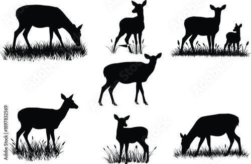 Deer silhouette vector illustration, grazing and standing deer on grass, wildlife animal design, nature scene, forest creatures, fawn and doe artwork