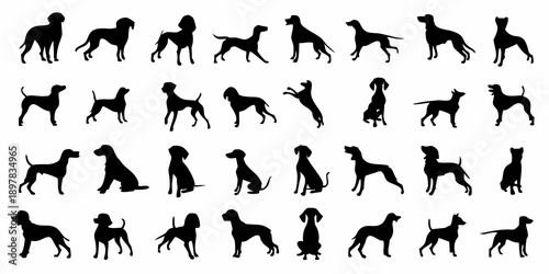 Collection of silhouetted dogs in various playful and active poses