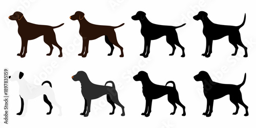 A collection of canine silhouettes and illustrations in varying colors