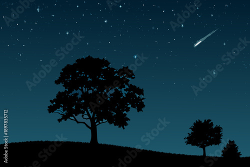 Tableau sur toile Nighttime scene featuring a shooting star above silhouetted trees