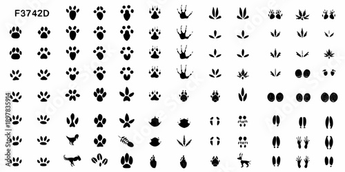 Collection of diverse animal footprints and paw prints in a grid pattern