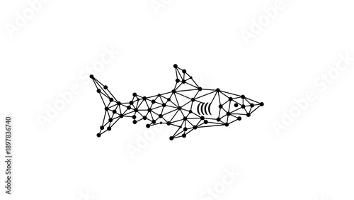 Abstract Low Poly Shark Outline