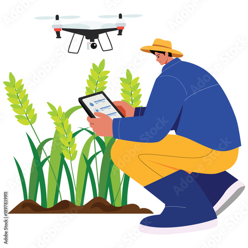 Digital Smart Illustration. Vector illustration of Farmer checking tablet while drone flies above crops, illustrating precision agriculture and smart farming solutions. Isolated on background