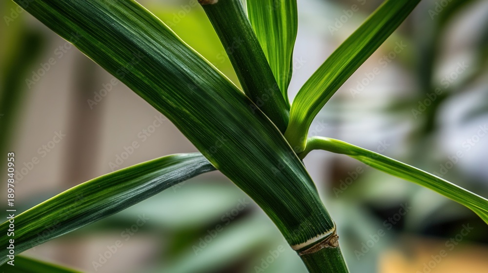 Obraz premium miter. Two slender bamboo leaves crossing at a precise angle. gardening catalogs, home-decor guides, designed for gardening and botanical catalogs, promotes healthy living.