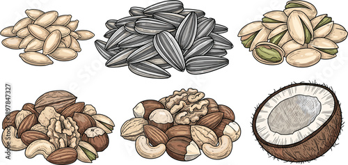 Hand Drawn Assorted Nuts and Seeds Collection with Coconut, Vintage Engraving Style Vector Illustration