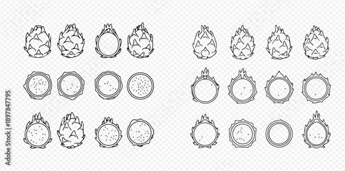Set of hand-drawn dragon fruit illustrations, whole and sliced, in various styles and shapes, perfect for tropical designs.