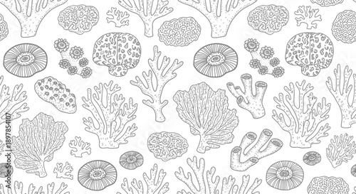 Coral Reef Patterns, Underwater Life, Ocean Design, Illustration, Artistic View