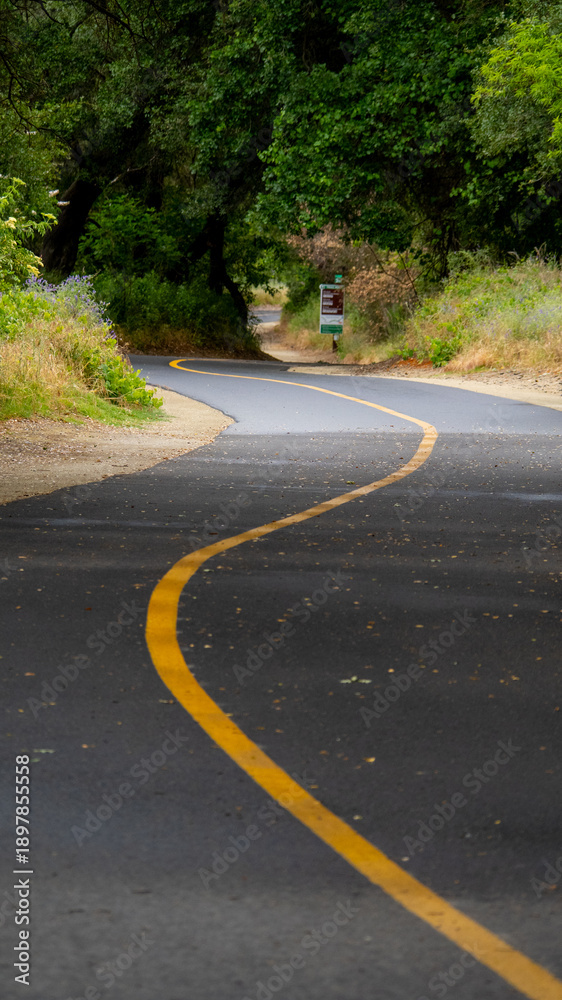 Obraz premium Bike trail in the park