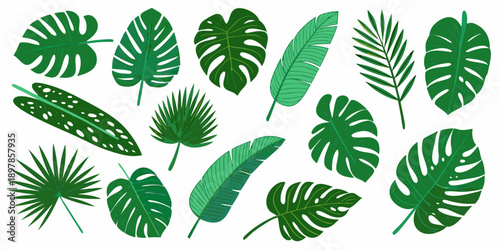 Collection of vibrant green tropical leaves in various shapes and sizes