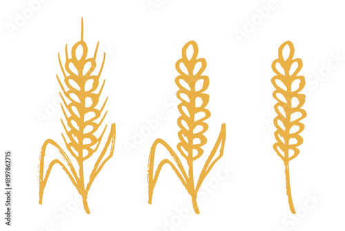 Set of hand drawn cereal wheat oat rye barley rice ears spikelet clipart Organic wheat bread agriculture farming harvest healthy food Single element for design print packaging label decor