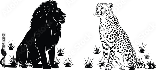 Lion and cheetah sitting in grass, black silhouette and spotted outline big cat wild animal