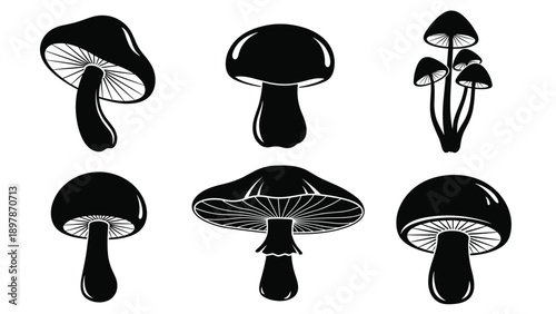 Mushroom Silhouette Vector Collection, Black Fungi Icons, Wild Forest Mushroom Illustrations, Isolated Nature Graphics for Foraging, Cooking, Autumn Design, Stenci