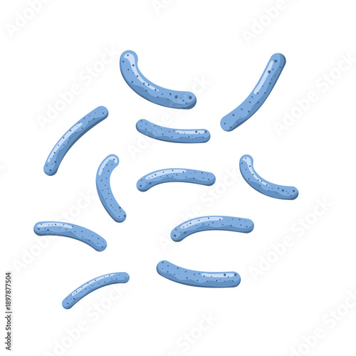 Lactobacillus probiotic bacteria