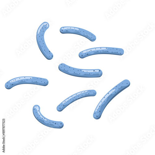 Lactobacillus probiotic bacteria