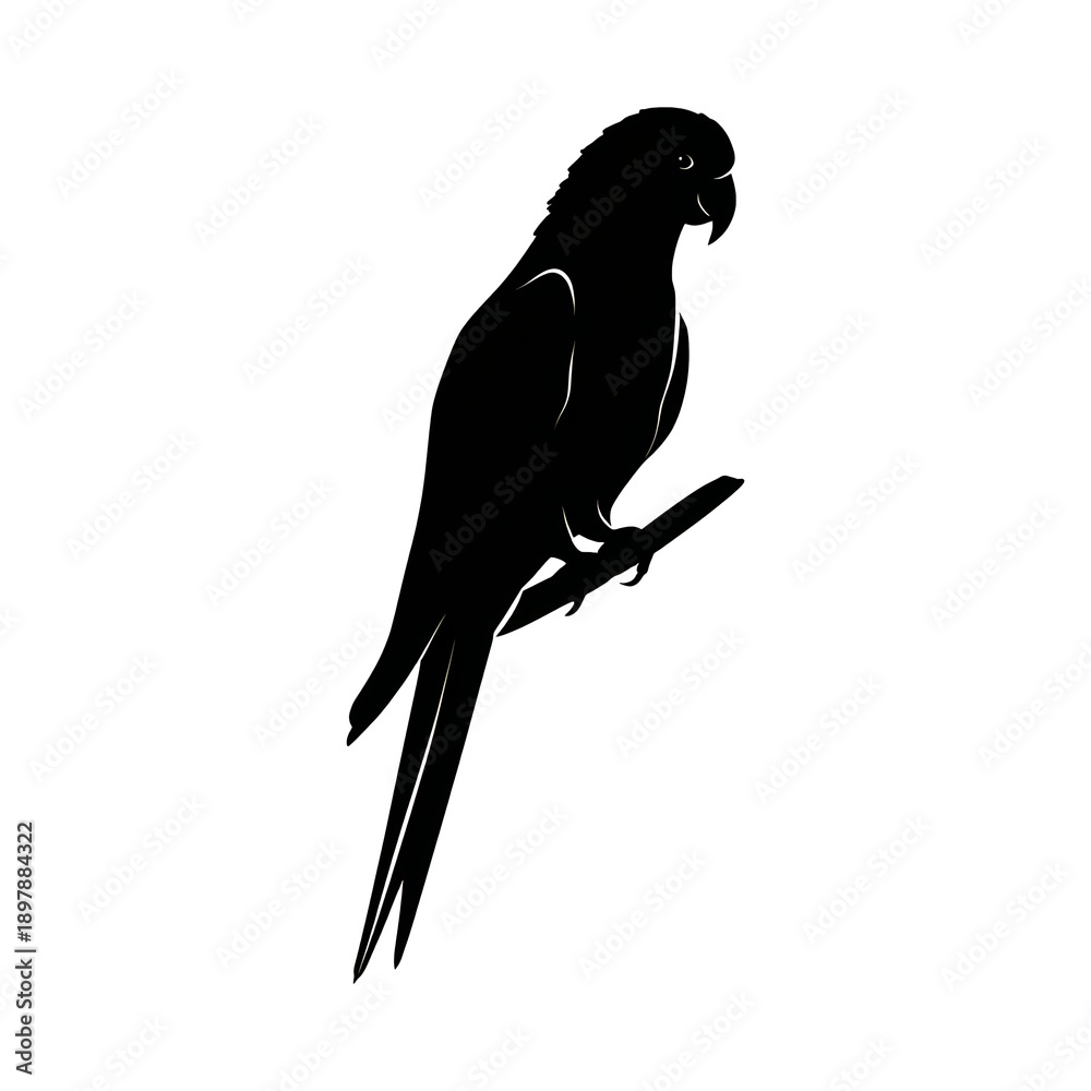 Fototapeta premium Parrot perched silhouette, transparent background, vector icon style, clean minimal, isolated object