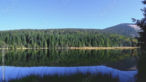 Still forest lake with perfect reflections – tripod panorama in Bavarian Forest