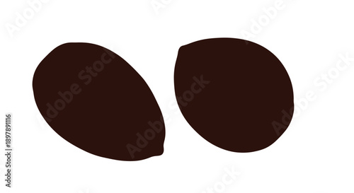 Two dark brown coffee beans isolated on a white background