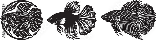 Betta fish silhouettes, Siamese fighting fish in detailed flowing fins, aquatic art, black and white