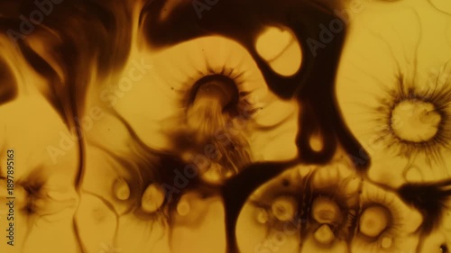 Dye blot. Wet splatter. Black paint spread orange brown water abstract background. Grunge dripping art defocused messy color flow.