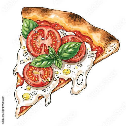 Slice of salami and cheese pizza on a white background