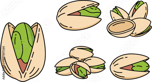 Pistachio Nuts Open and Closed Shell Set, Hand Drawn Snack Vector Illustration Collection